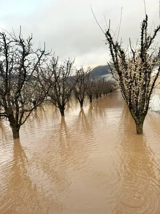 Tarım Arazileri ve Seralar Su Altında Kaldı 5